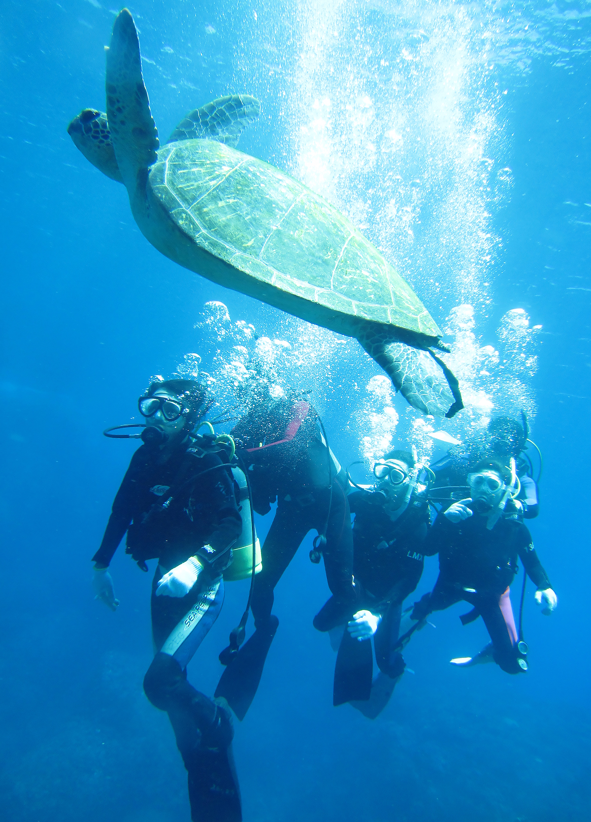 0144_ダイビング